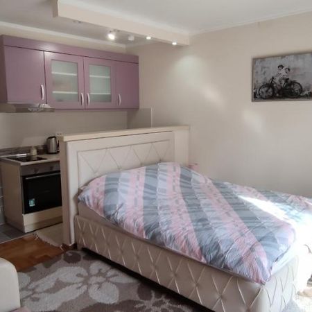 Alex 2 Apartman Врнячка-Баня Экстерьер фото