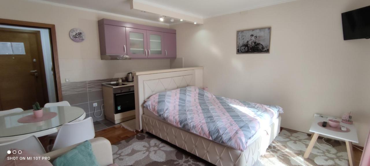 Alex 2 Apartman Врнячка-Баня Экстерьер фото