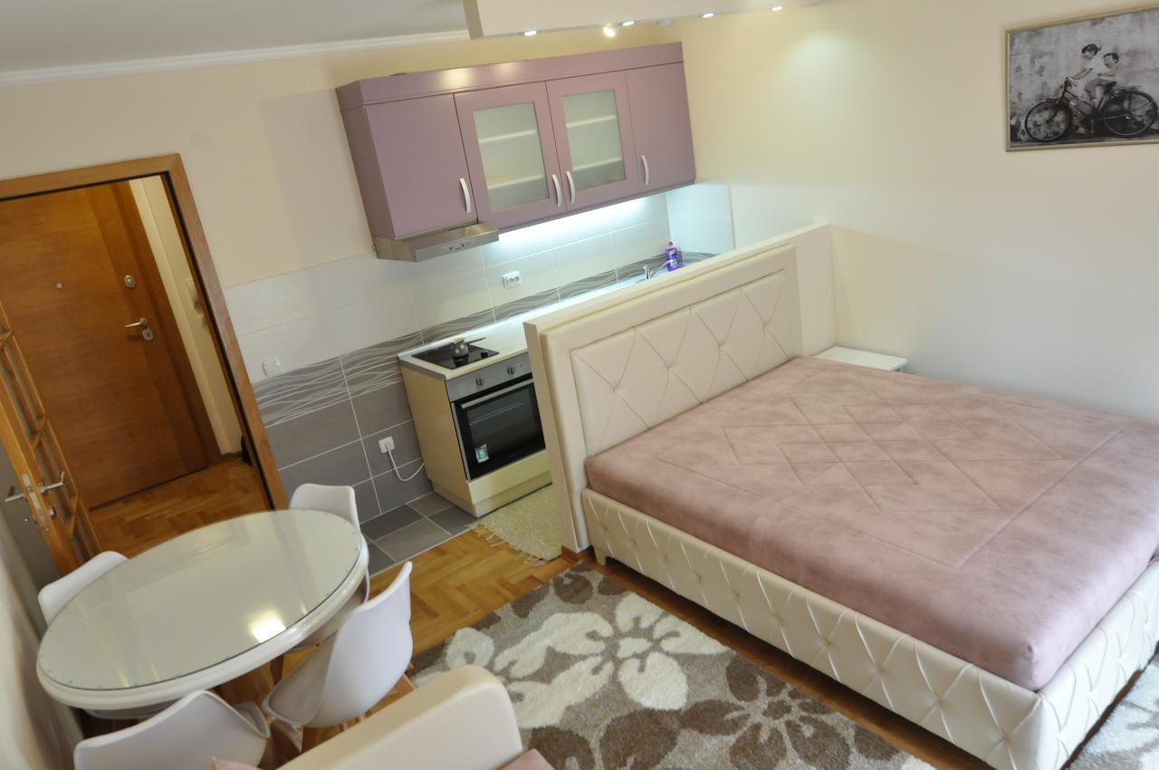 Alex 2 Apartman Врнячка-Баня Номер фото