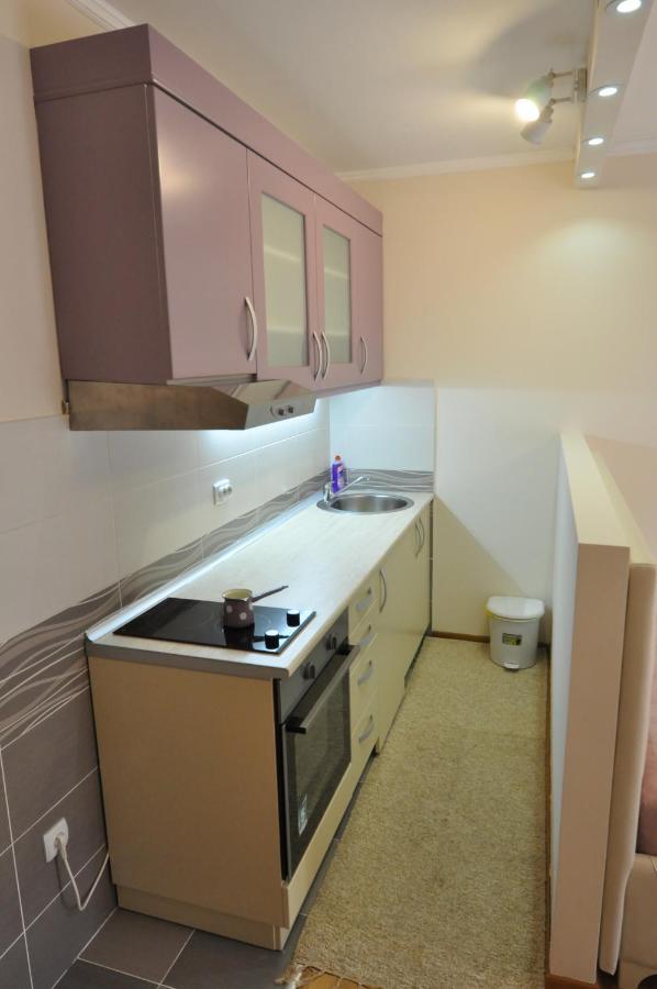 Alex 2 Apartman Врнячка-Баня Номер фото